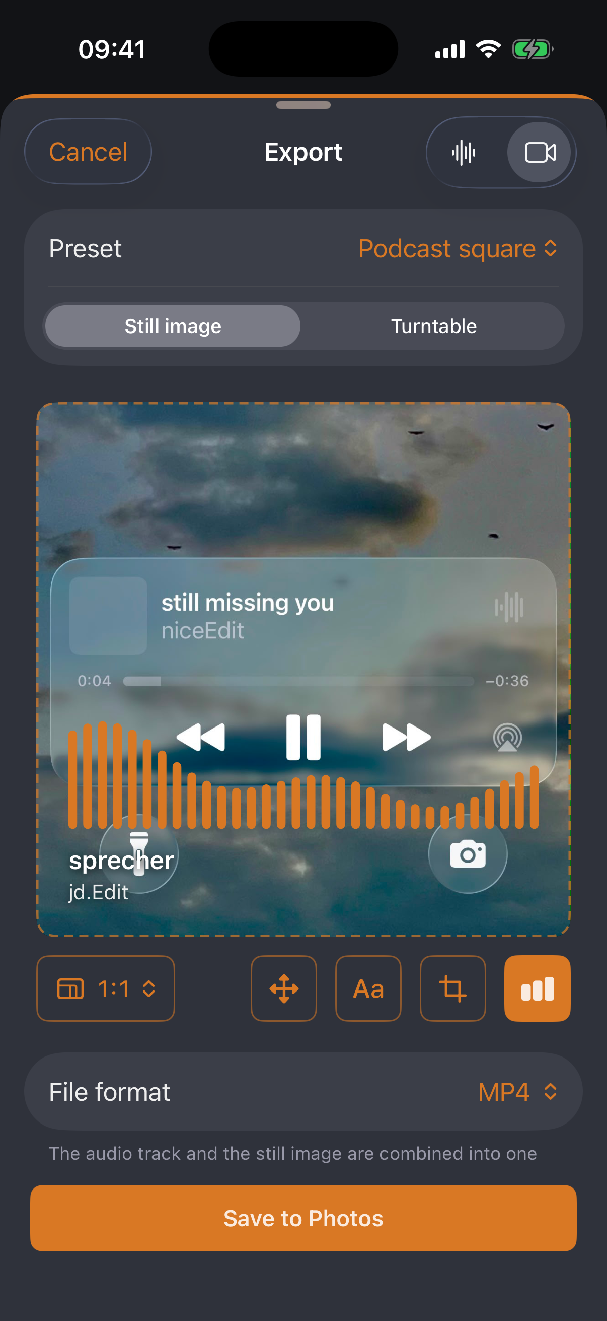 Video export: still image with cover, caption and equalizer